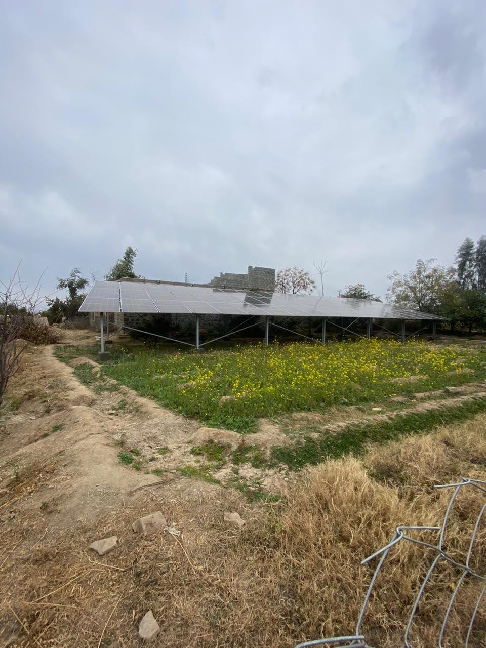 Project Gallery